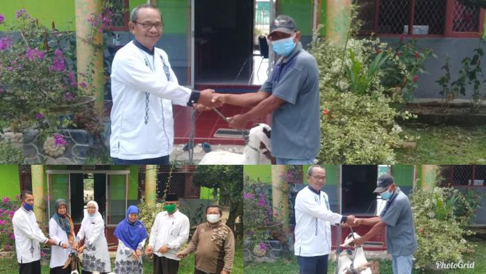 Pengurus Baziz MAN 1 Muaro Jambi Serahkan Kambing Pengurus Baziz MAN 1 Muaro Jambi Serahkan Kambing