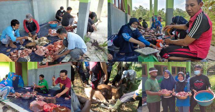 2 Ekor Hewan Qurban Disembelih Di MAN 1 Muaro Jambi