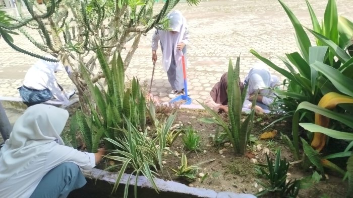 Semangat Hari Pertama Masuk Madrasah, Siswa MAN 1 Muaro Jambi Gelar Gotong Royong Bersama