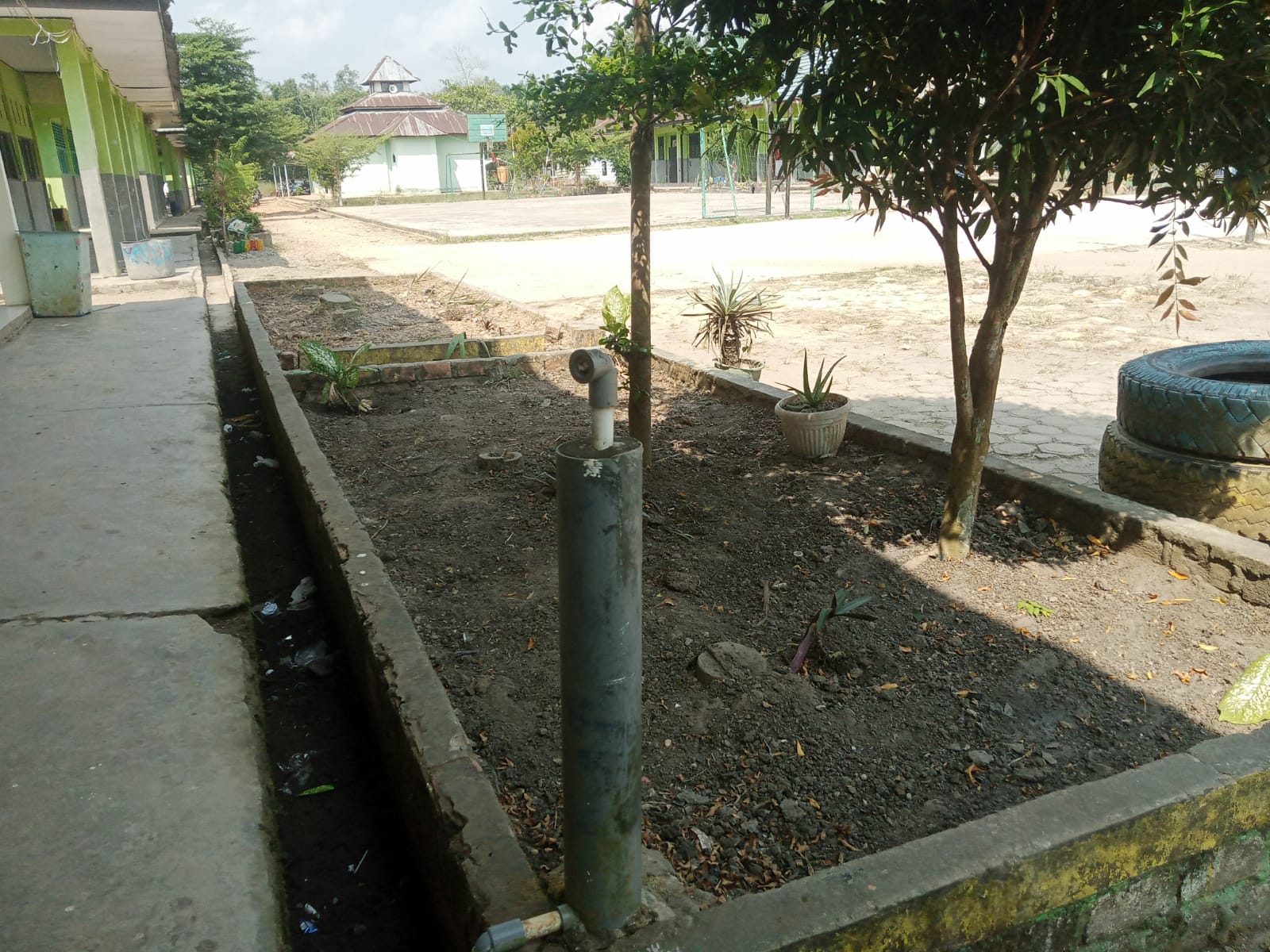 Proses Awal Penanaman Tanaman di Taman XA