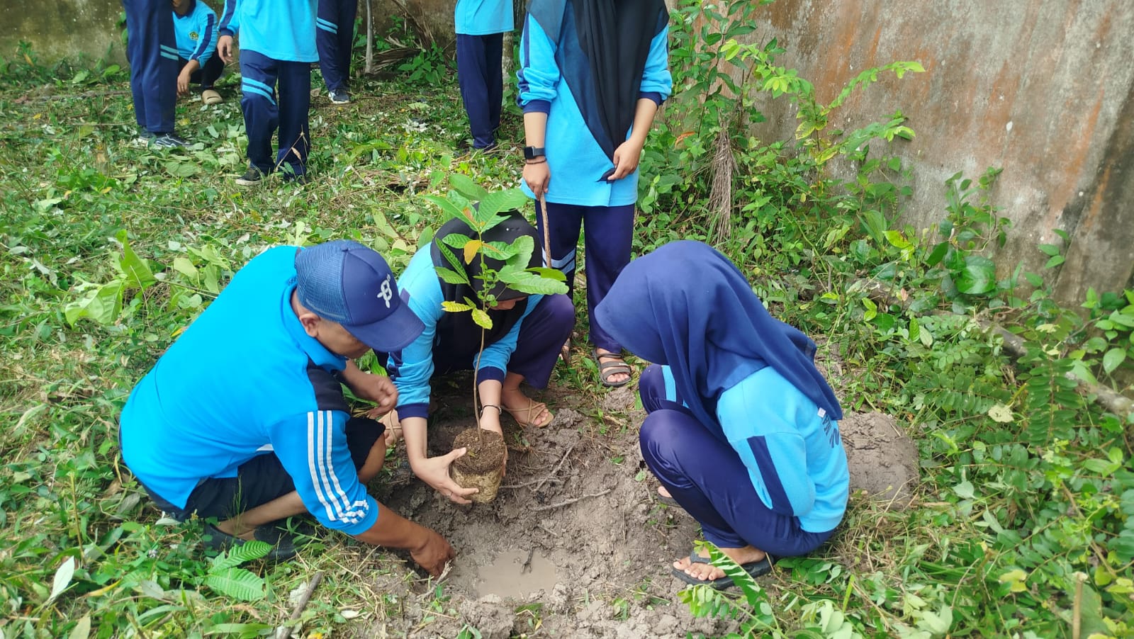 Kelas XI C Ikut Berparisipasi Meaksanakan Penanaman Pohon Matoa