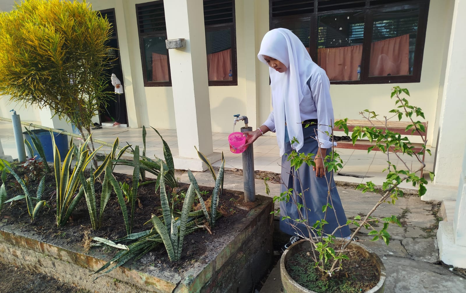 Wali Kelas Ingatkan Menyiram Tanaman