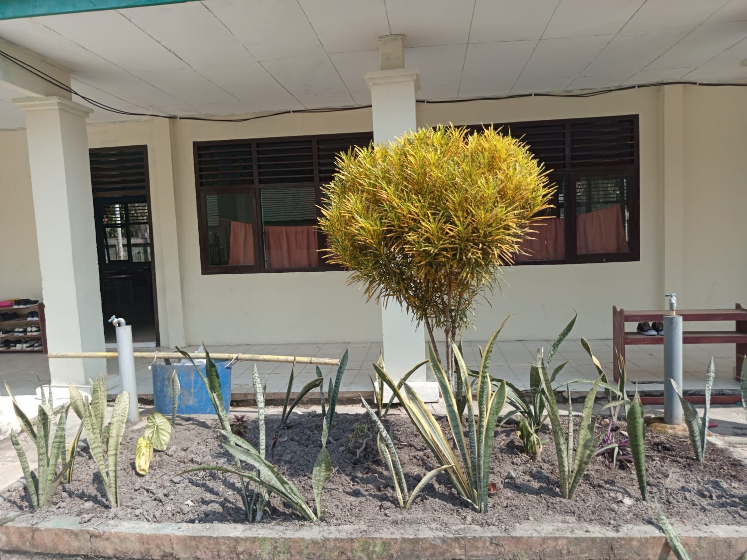 Rencana Penghijauan Taman Kelas XII 1