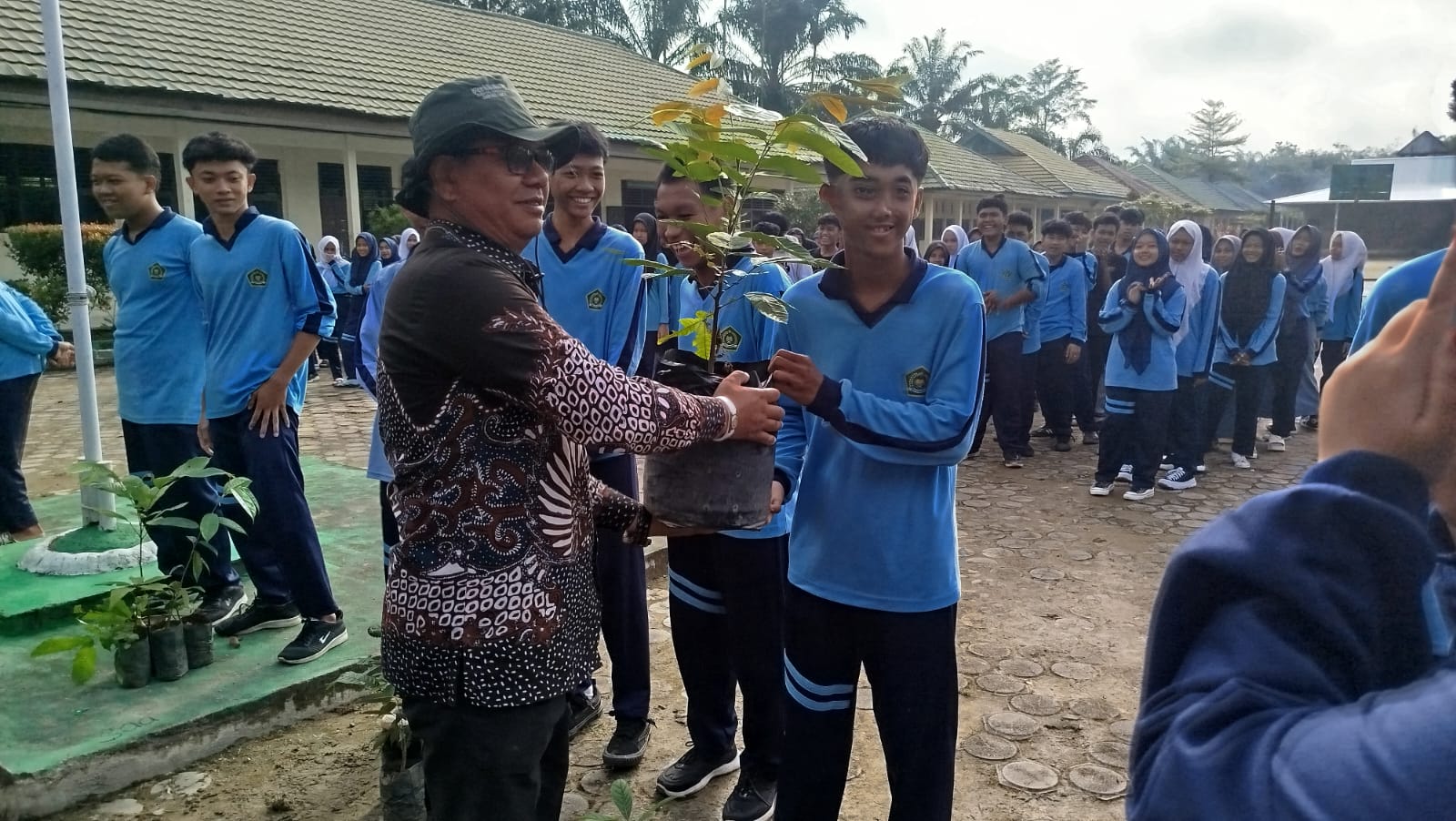 Kepala Madrasah Serahkan Pohon Matoa kepada Siswa Kepala Madrasah Serahkan Pohon Matoa kepada Siswa