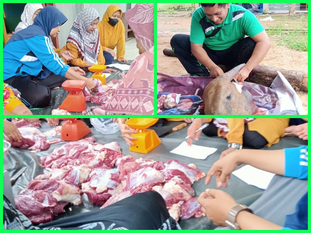 MAN 1 Muaro Jambi Laksanakan Pemotongan Hewan Qurban Hari Kedua
