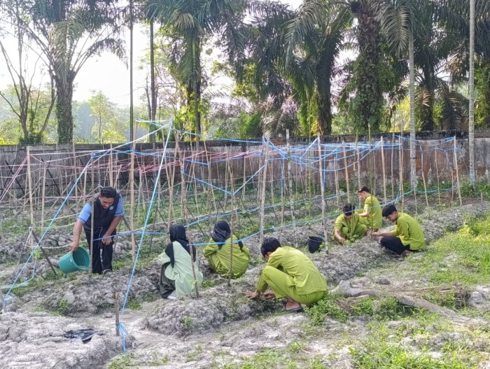 Siswa MAN 1 Muaro Jambi Tetap Rawat Kapling di Tengah Penghentian Kokurikuler Ramadhan