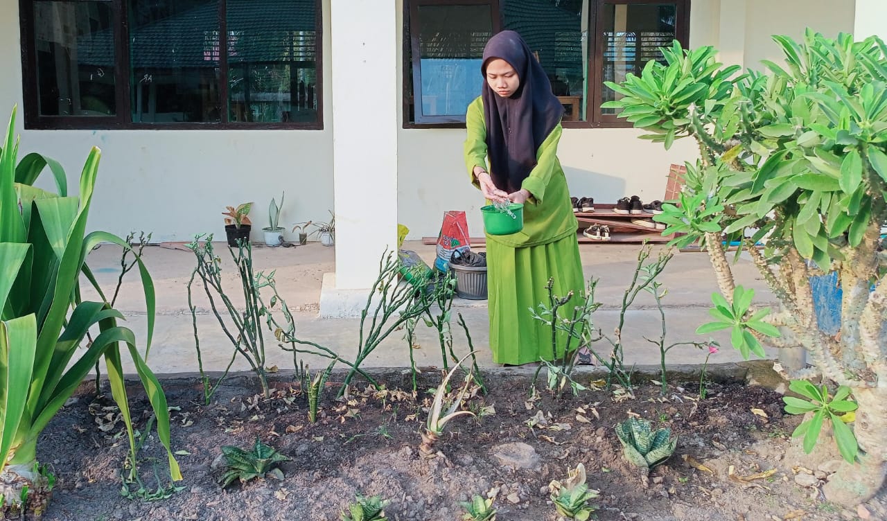 Musim Kemarau Tiba Tanaman Harus Dapat Perhatian Musim Kemarau Tiba Tanaman Harus Dapat Perhatian