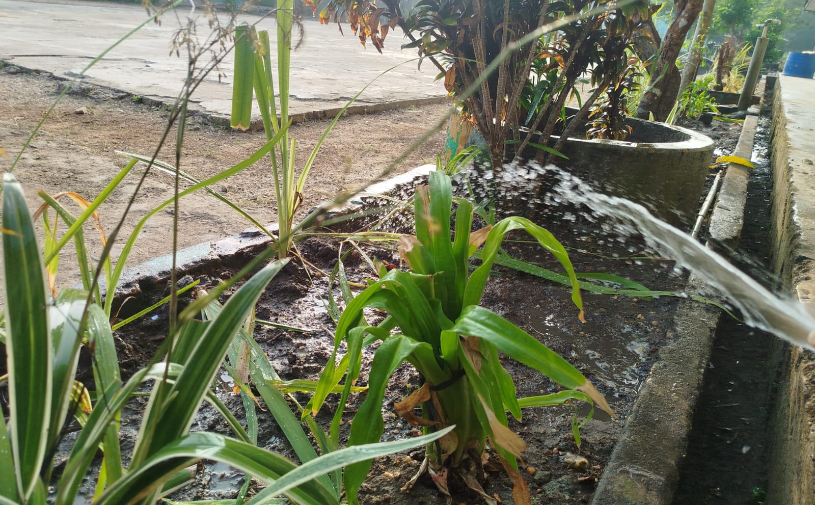 Wali Kelas Ingatkan untuk Menjaga Barang Kelas dan Merawat Tanaman