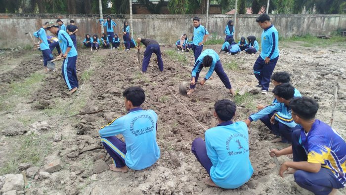 Kokurikuler Berkebun, Siswa MAN 1 Muaro Jambi Manfaatkan Lahan Madrasah Kokurikuler Berkebun, Siswa MAN 1 Muaro Jambi Manfaatkan Lahan Madrasah