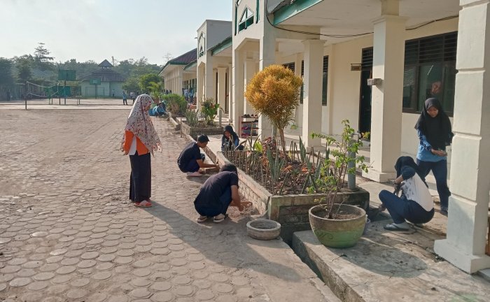 Saat Libur Akademik, Lingkungan MAN 1 Muaro Jambi Tetap Terawat Saat Libur Akademik, Lingkungan MAN 1 Muaro Jambi Tetap Terawat