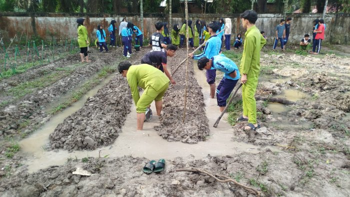 Semangat Hijau di Madrasah: Siswa MAN 1 Muaro Jambi Tanam Jagung Manis dan Terong