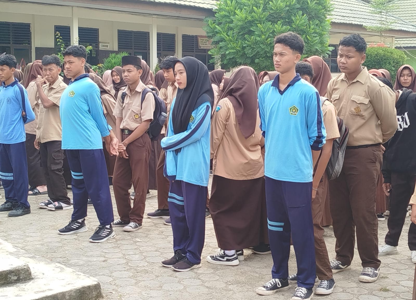 Struktur Organisasi Kegiatan Ekstrakurikuler Olahraga MAN  1 Muaro Jambi
